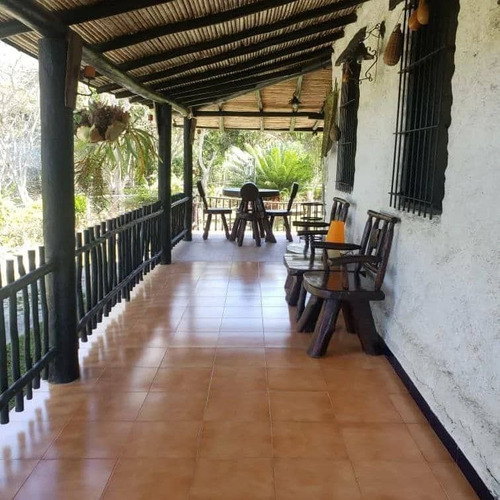 Imagen 5 de 15 de Terreno En Venta Bejuma