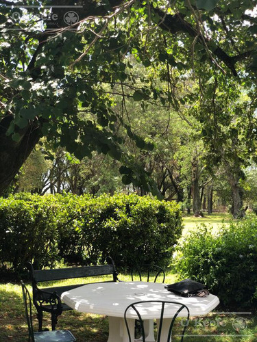 Campo En Venta De 80 Has En Gualeguay Entre Rios, Casco Histórico - Turismo Rural