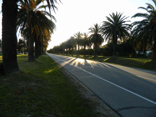 Terreno - Colonia Del Sacramento