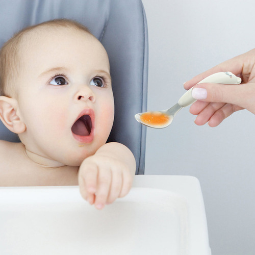Juego De Cucharas Y Tenedores De Vajilla Para Niños Pequeños