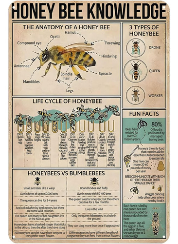 Letrero De Metal Con Diseño De Abeja De Miel, Conocimiento, 