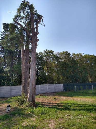Imagen 20 de 26 de Casa En Venta En San Matias - Maroto Propiedades