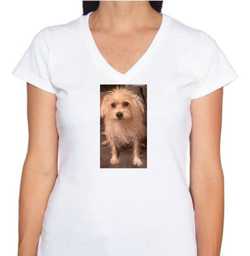 Playera Perrita - Cuello V - Dog Lover - Perros