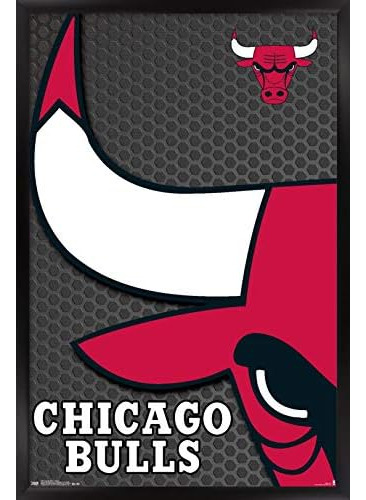 Nba Chicago Bulls - Logo 14 Wall Poster, 14.725  X 22.3...