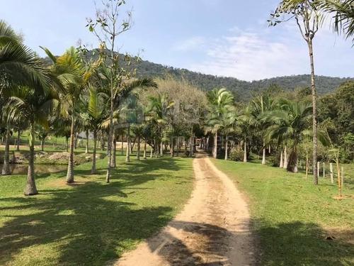 Imagem 27 de 30 de Chácara À Venda No Bairro Cerro - Camboriú/sc - 1654c