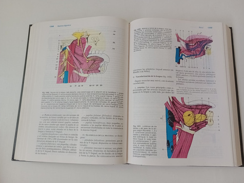 Libro Anatomia Humana - Latarjet Ruiz Liard (Usado)