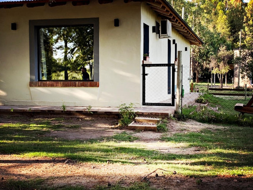 Imagen 6 de 12 de Cabaña San Rafael Mendoza La Casita Del Bosque