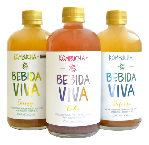 Kombucha Bebida Viva /bebida Probiótica 24-pack (500 Ml C/u)