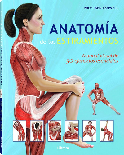 Anatomia De Los Estiramientos - Profesor Ken Ashwell