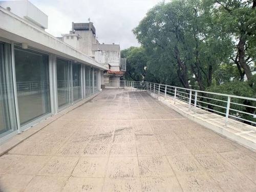 Imagen 6 de 12 de Alquiler De Oficina Con Gran Terraza Sobre Bv. Artigas