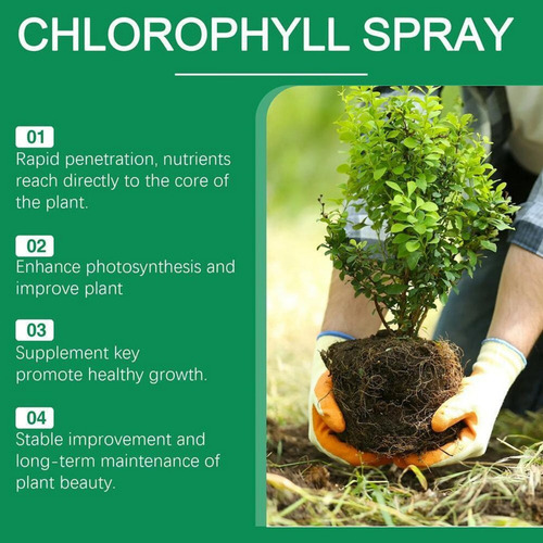 Aerosol De Clorofila Líquida, Clorofila Nutritiva For Plant