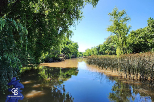 Imagen 2 de 30 de Venta 2 Casas Sobre 3 Lotes En Canal Del Este Delta Tigre