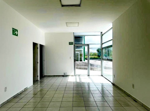 Nave Industrial En Renta Parque Shinjuku Celaya Apaseo El Grande