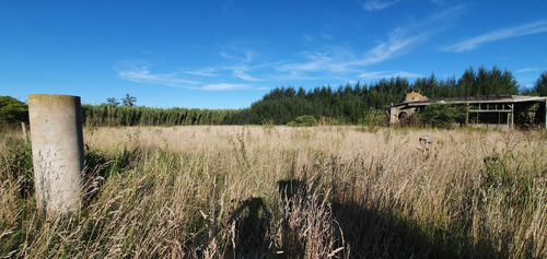 Venta Campo 5 Hectáreas Sierra De Los Padres