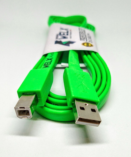 Imagen 2 de 10 de Cable Welx Audio Usb Flat Type B 2 Metros Palermo