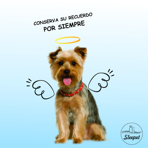 Imagen 4 de 6 de Sleepet. Servicio De Cremación De Mascotas.