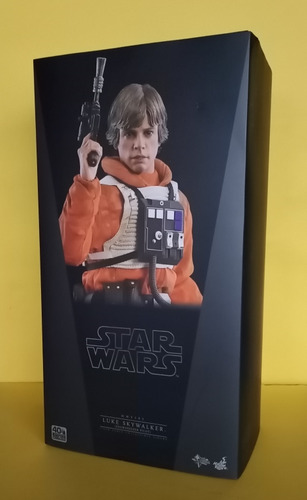 Luke Skywalker Snowspeeder Pilot Hot Toys/sideshow (Usado)