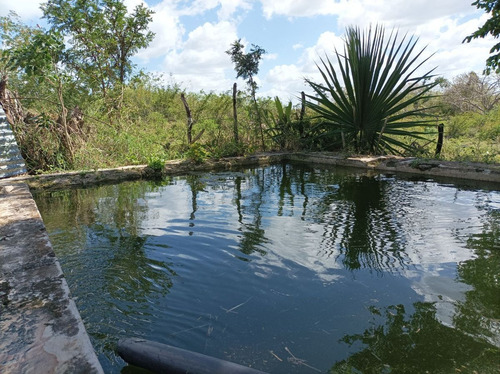 Hermoso Rancho A 4km De Tekit, Dentro Del Círculo De Cenotes