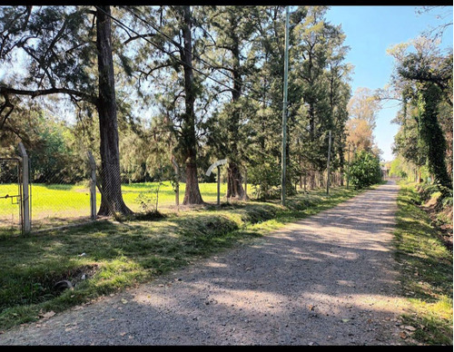 Terreno En El Talar