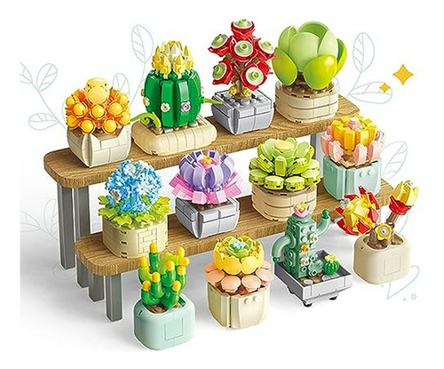 Set De Plantas Suculentas, Compatible Con Niñas Y Niños De 6