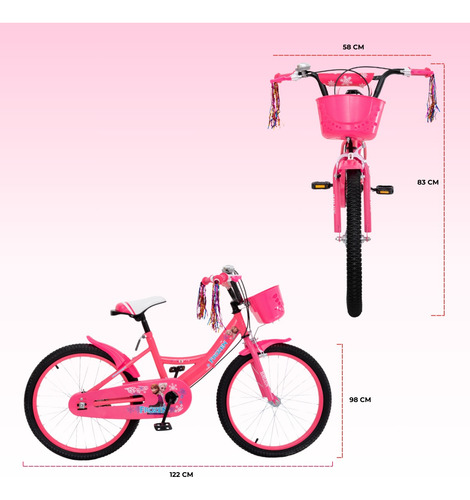 Bicicleta Infantil Aeiou R20 Qk-13 Con Campana