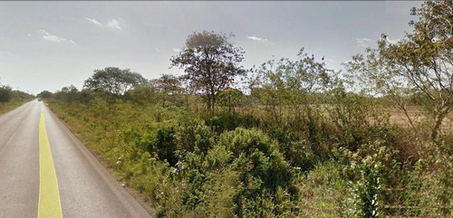 Imagen 4 de 7 de 2.2 Ha Terreno Venta En San Jose Tzal /$200 Por M2 / Max Rivera