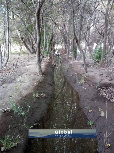 Imagen 11 de 26 de Excelente Finca De 31 Has En San Rafael , Mendoza Zona Vitivinícola Argentina