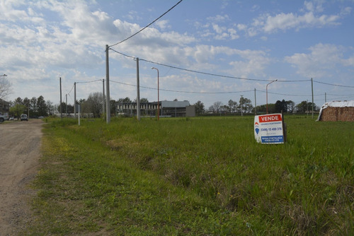 Imagen 3 de 4 de Venta Terreno Zona Parque De La Agricultura