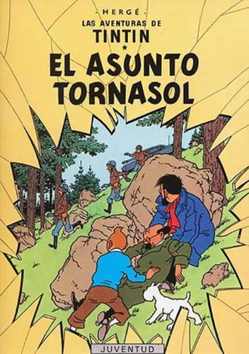 El Asunto Tornasol - Tintín, Hergé, Juventud