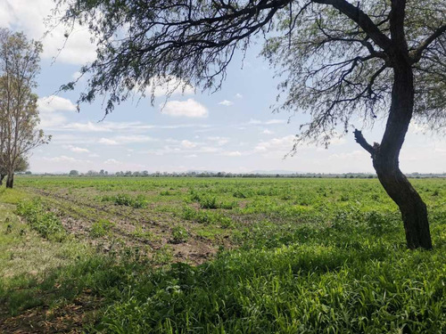 Terreno En Venta En Colonia La Venta De Ajuchitlancito, Pedro Escobedo, Querétaro