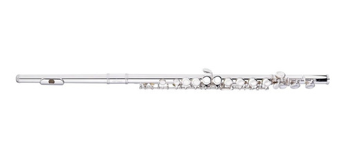 Flauta Traversa 16 Llaves Con Estuche Y Paño Stagg Wsfl111