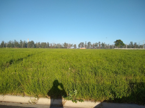 Imagem 10 de 10 de Jd Pacaembu Americana 300m Quitado.pronto P/ Construir
