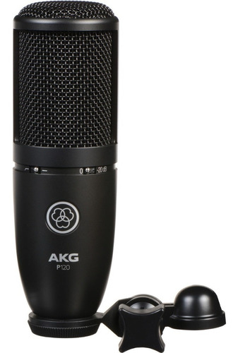 Imagen 3 de 9 de Micrófono Condenser Akg P120 Cardioide De Estudio Perception