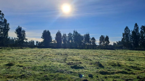 Parcelas De Agrado En Venta, Molina