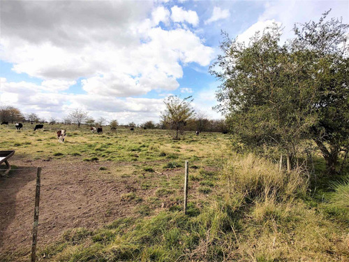 Imagen 14 de 15 de Venta De Campo En Marcos Paz 43 Hectareas