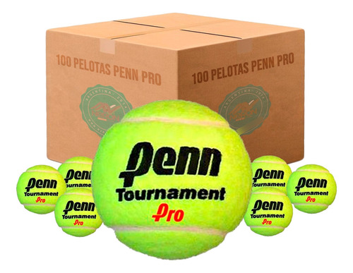 Bolson X 100 Pelotas Penn Tournament Pro Distribuidor Oficia