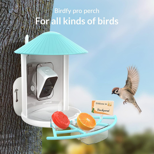 Birdfy Pro  Hummee Feeder - Comedero Para Pájaros Con Cámara