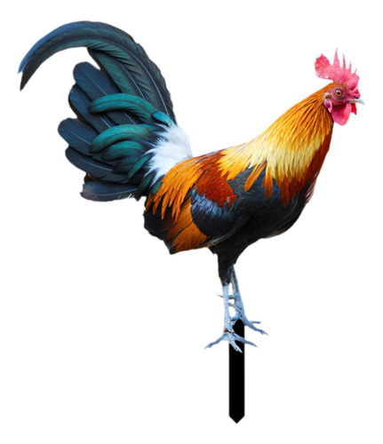 Wf/ Estaca Jardín Gallo, Adorno Pollo, 21,5 Cm X 25 Cm
