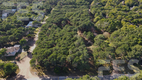 Imagen 3 de 5 de Venta - Lote - Pinamar Norte