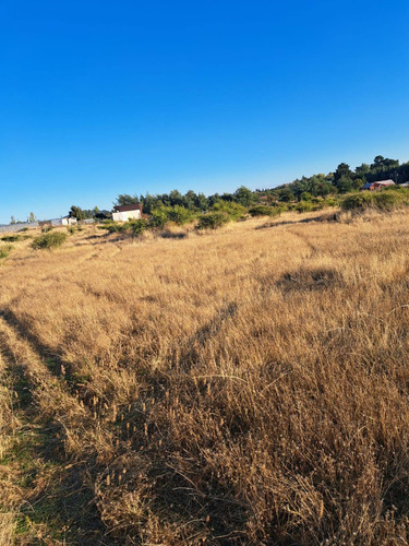 Parcela De 5000 M2 Factibilidad Pozo, Postación Eléctrica