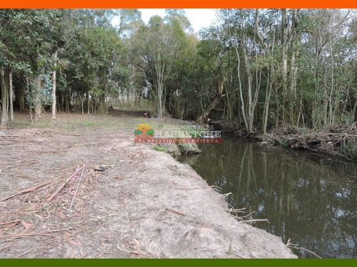 Imagen 18 de 22 de Chacra En Venta 3 Has Con Casa En El Colorado