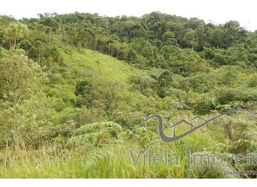 Imagem 12 de 13 de Sítio Em Catete - Paty Do Alferes - 505