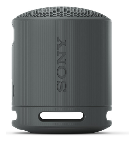 Parlante Inalámbrico Portátil Sony Xb100 Color Negro Negro