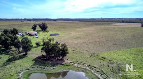 Campo En Venta En Canelones