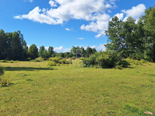 Campo En Fresia, Oportunidad Imperdible De Inversión.