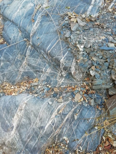 Venta De Terreno De Minas Con Oro