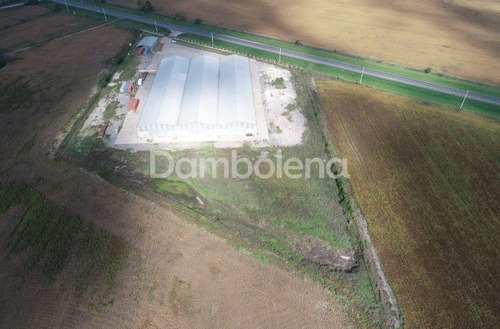 Imagen 25 de 26 de Depósito Galpón En Venta Ubicado En Alvear, Rosario