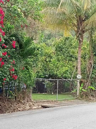Imagen 3 de 14 de Granja En Venta Carretera Duaca Aroa