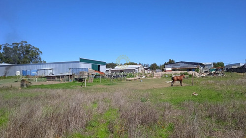 Espectacular Chacra Comercial En Maldonado - Ref: 63983
