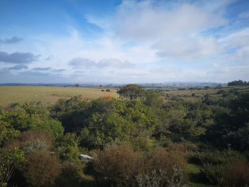 Chacra En Venta En  Uruguay,  Zona Camino A Garzón